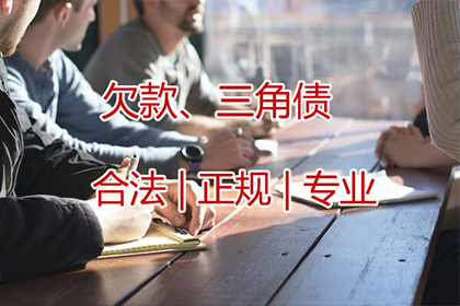 法院诉讼解决债务问题有何后果？